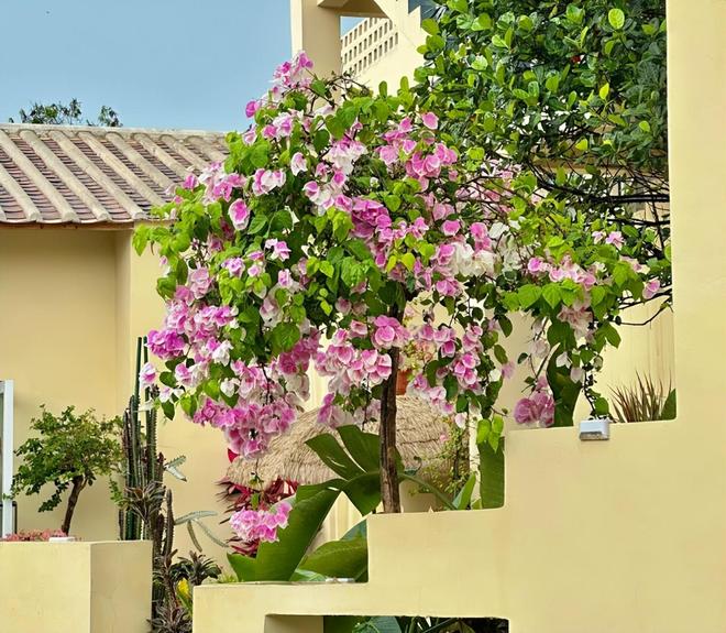 亲子游5天4晚价格跟团五日游报价新葡京北海亲子跟团游多少钱?北海(图7) 亲子游5天4晚价格跟团五日游报价新葡京北海亲子跟团游多少钱?北海(图7)