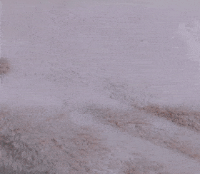 技干发帽三分钟速干轻松告别湿哒哒！新葡京娱乐场app女生值得用的黑科(图8)