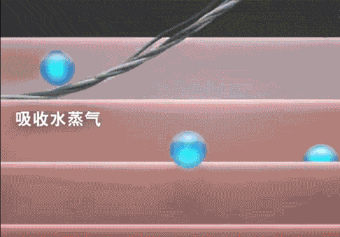 技干发帽三分钟速干轻松告别湿哒哒！新葡京娱乐场app女生值得用的黑科(图11)