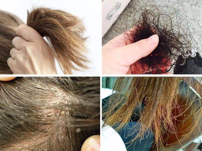 技干发帽三分钟速干轻松告别湿哒哒！新葡京娱乐场app女生值得用的黑科(图13)