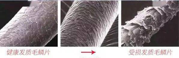 技干发帽三分钟速干轻松告别湿哒哒！新葡京娱乐场app女生值得用的黑科(图27)